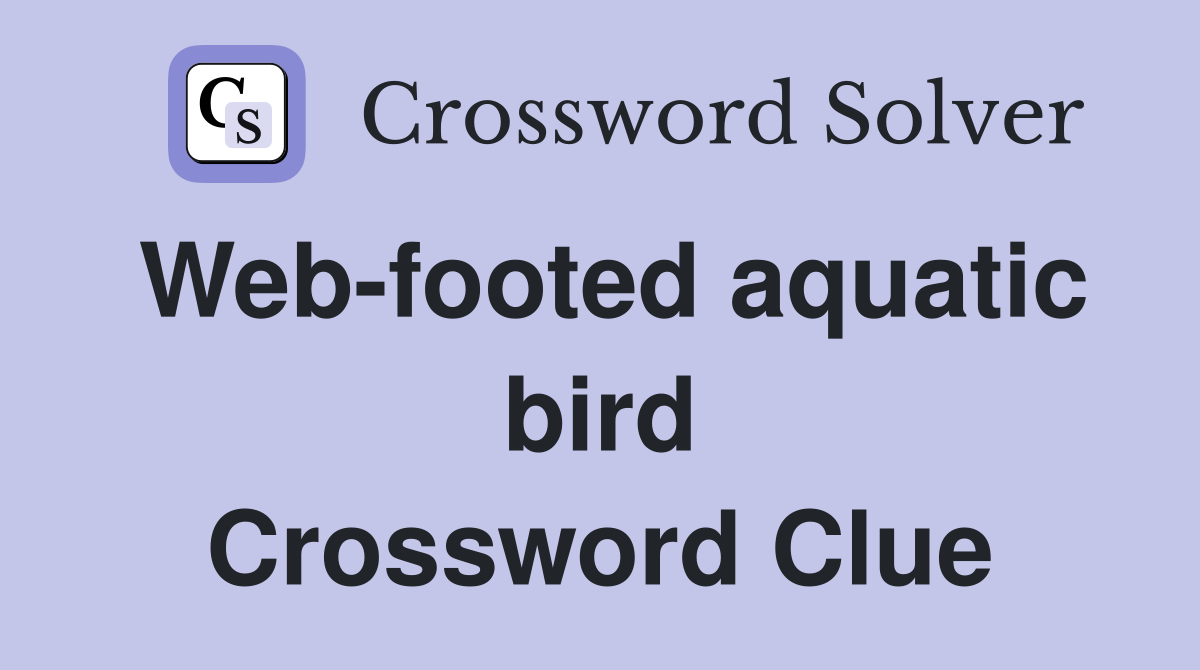 Web-footed aquatic bird Crossword Clue
