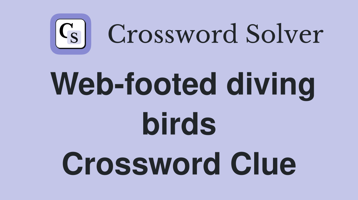 Web-footed diving birds Crossword Clue