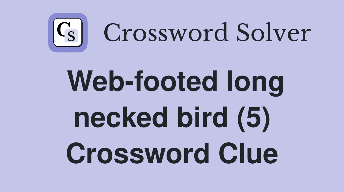 Web-footed long necked bird (5) Crossword Clue
