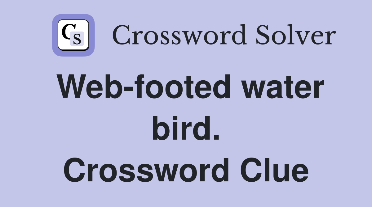 Web-footed water bird. Crossword Clue