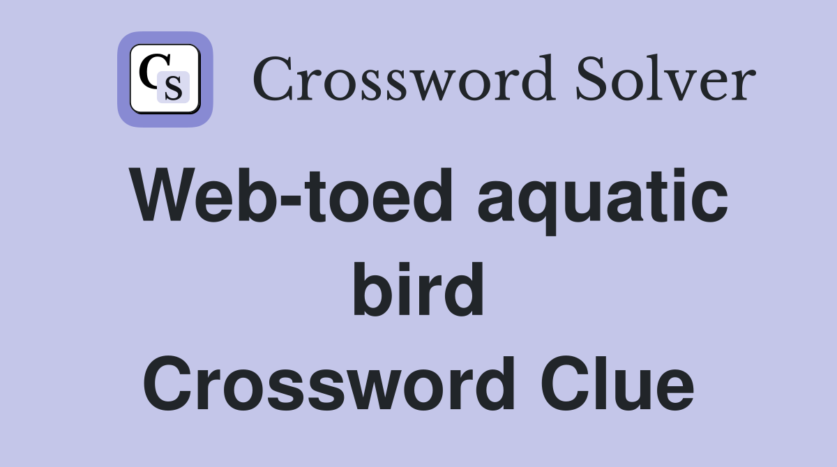 Web-toed aquatic bird Crossword Clue