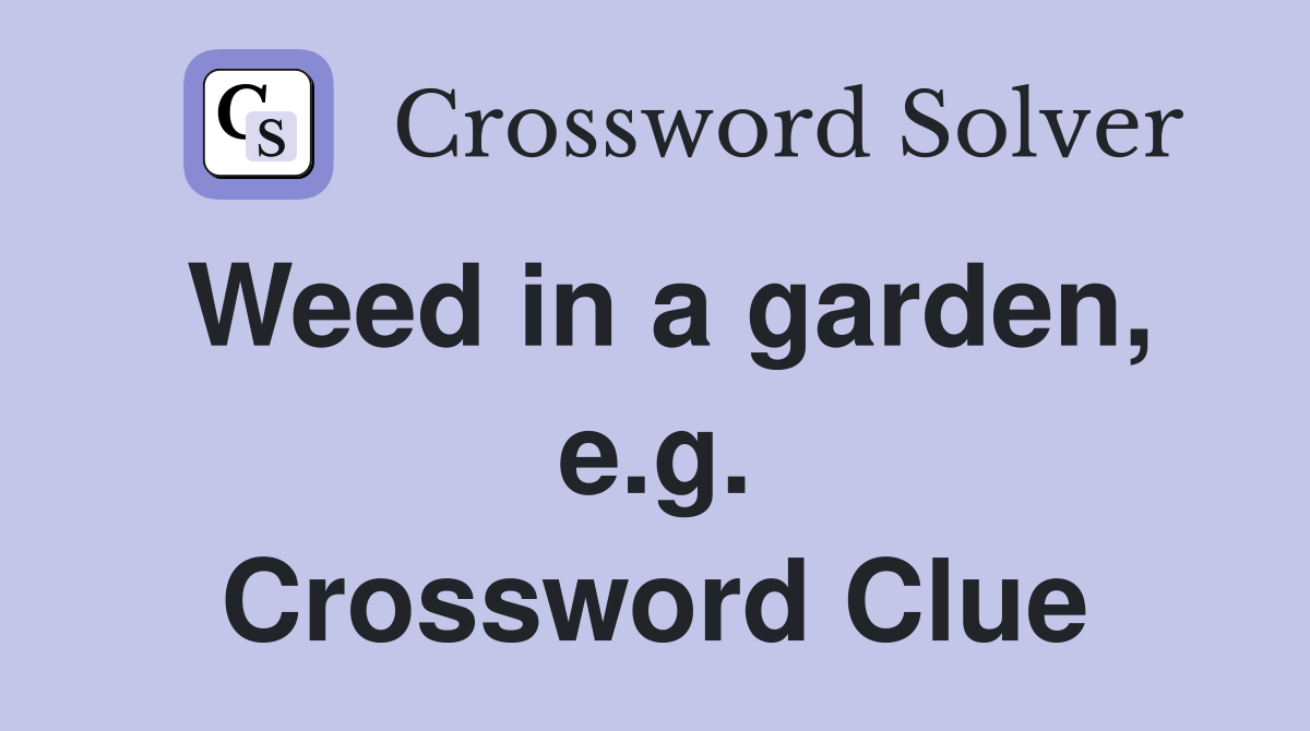 Weed in a garden, e.g. Crossword Clue