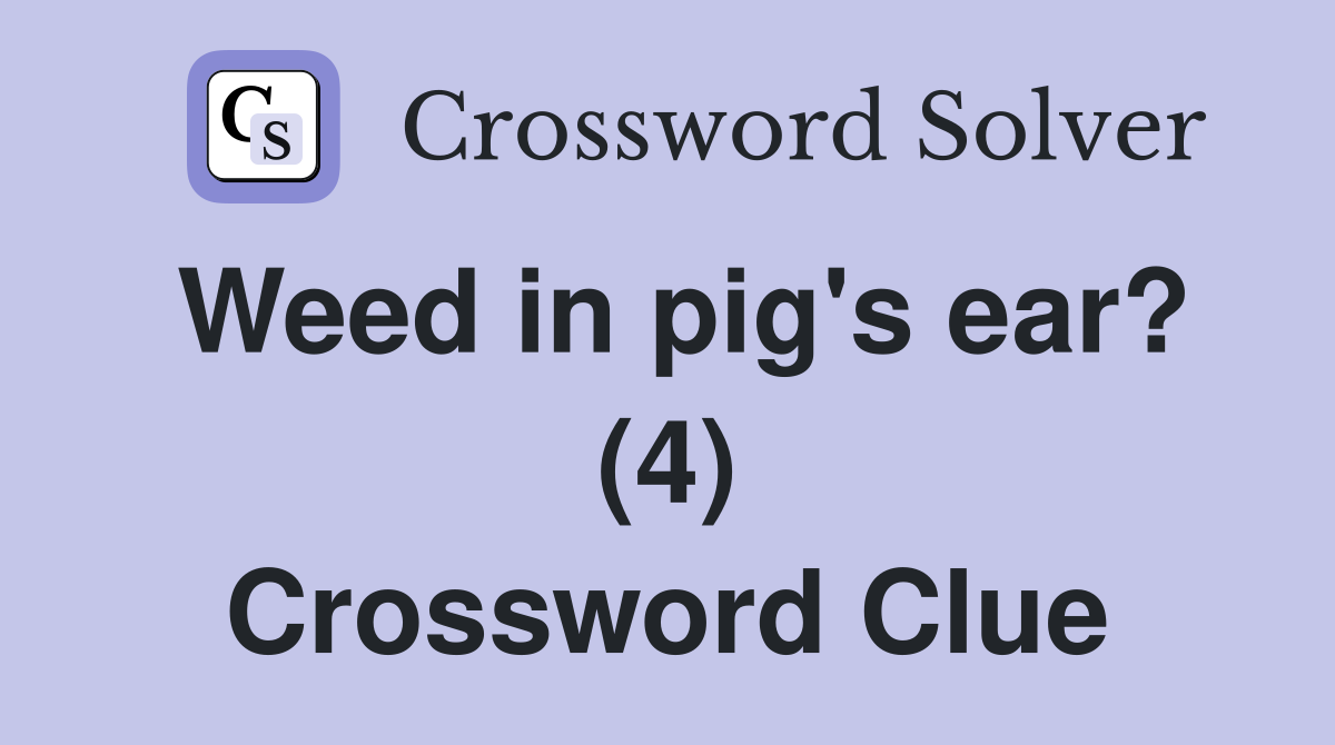 Weed in pig's ear? (4) Crossword Clue