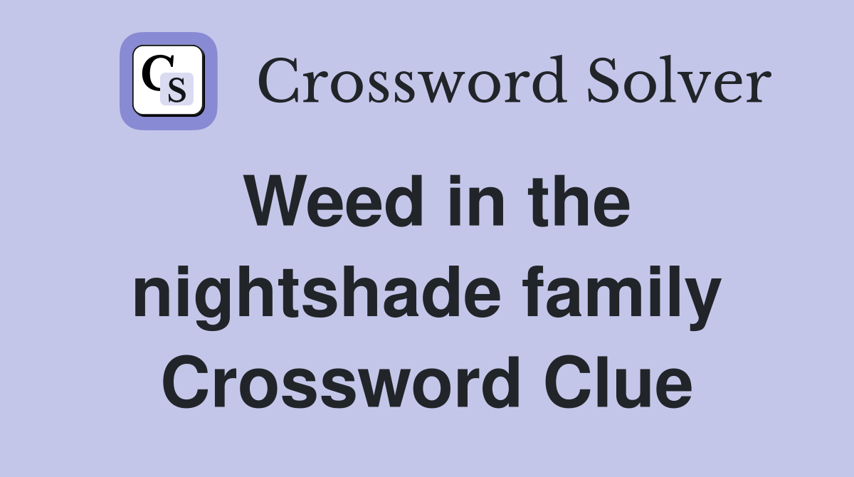 Weed in the nightshade family Crossword Clue
