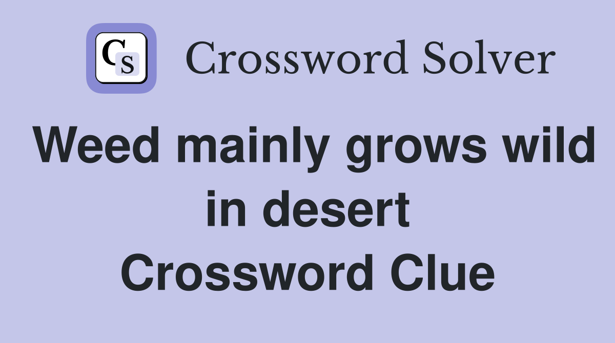 Weed mainly grows wild in desert Crossword Clue