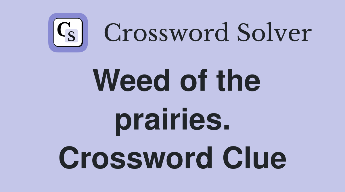 Weed of the prairies. Crossword Clue