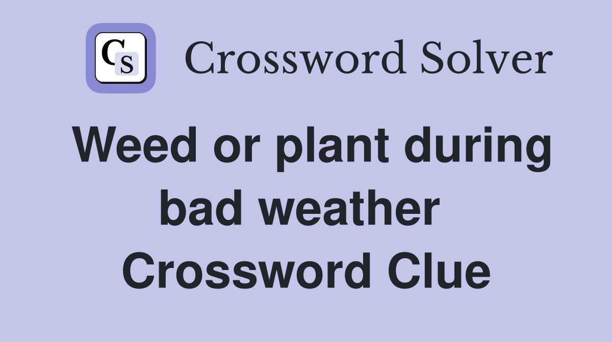 Weed or plant during bad weather  Crossword Clue