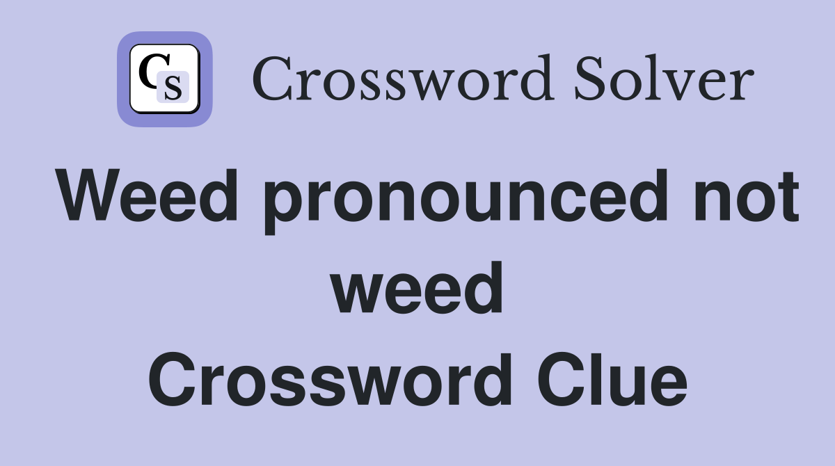 Weed pronounced not weed Crossword Clue