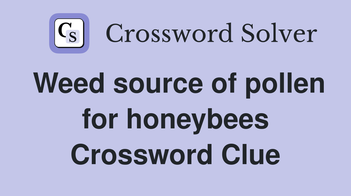 Weed source of pollen for honeybees Crossword Clue