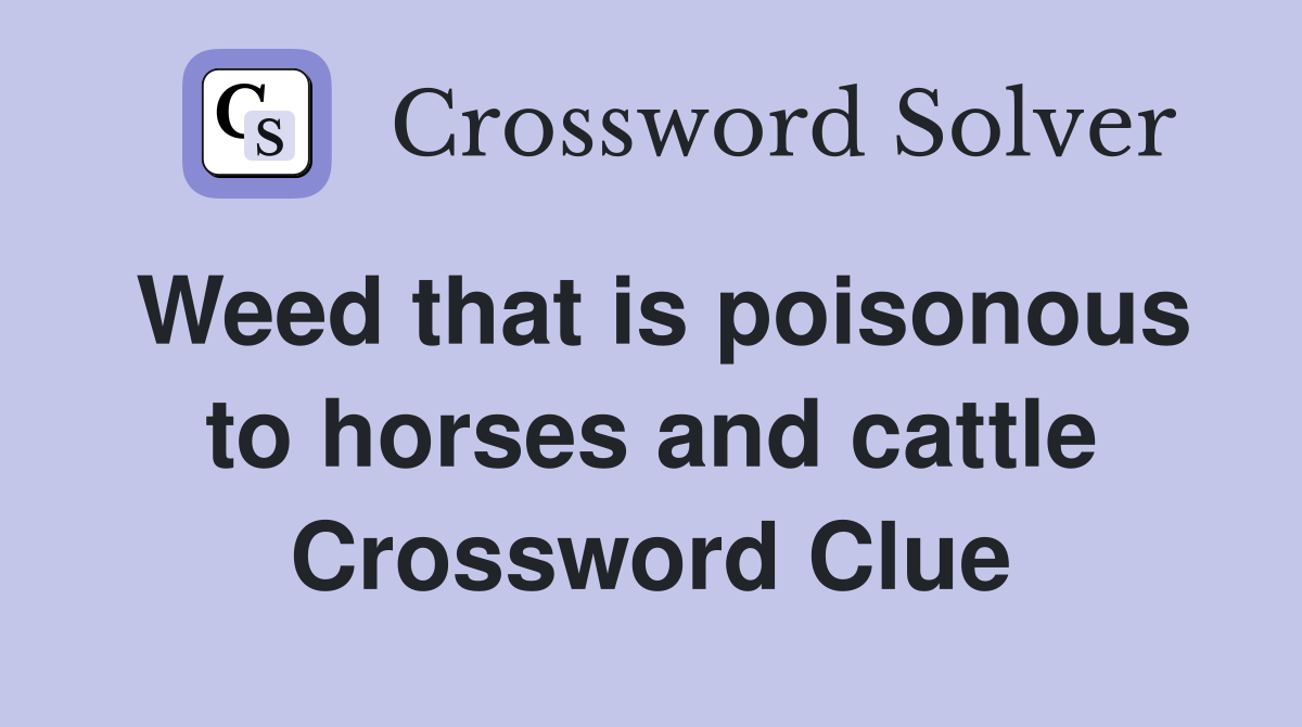 Weed that is poisonous to horses and cattle Crossword Clue