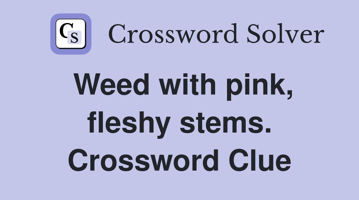 Weed with pink, fleshy stems. Crossword Clue