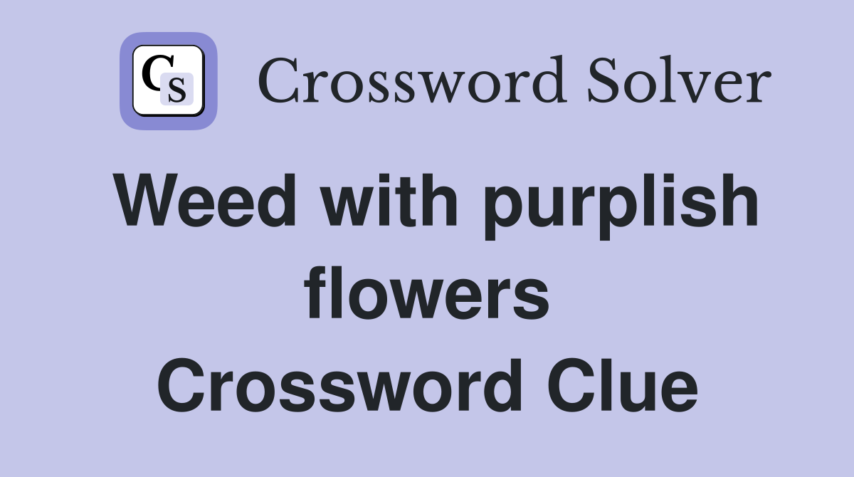 Weed with purplish flowers Crossword Clue