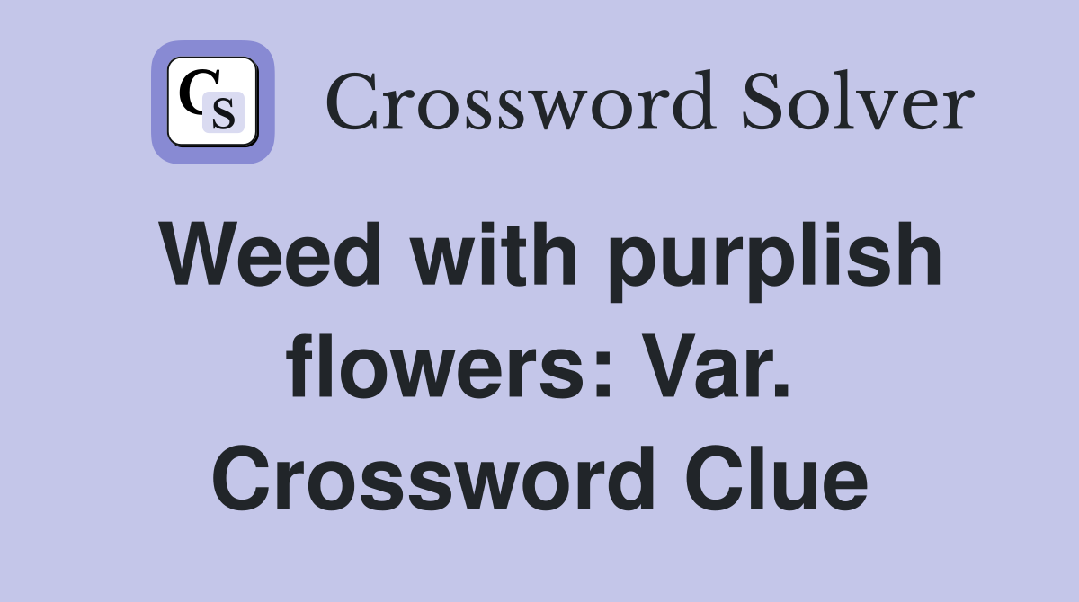 Weed with purplish flowers: Var. Crossword Clue