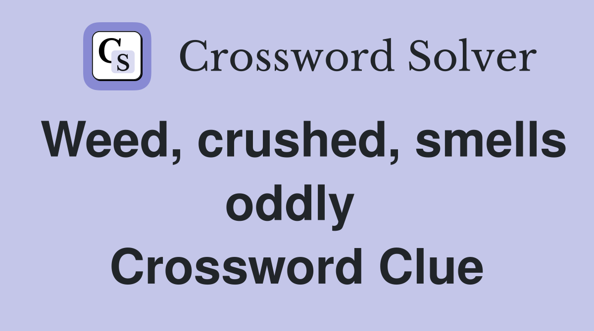 Weed, crushed, smells oddly  Crossword Clue