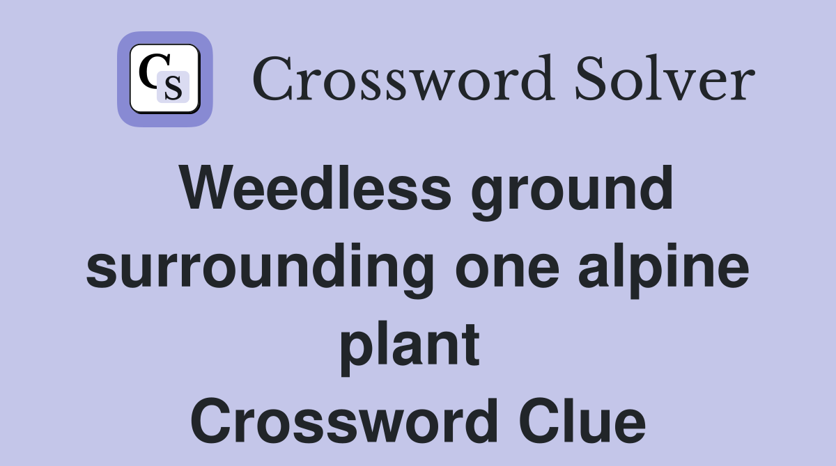 Weedless ground surrounding one alpine plant  Crossword Clue