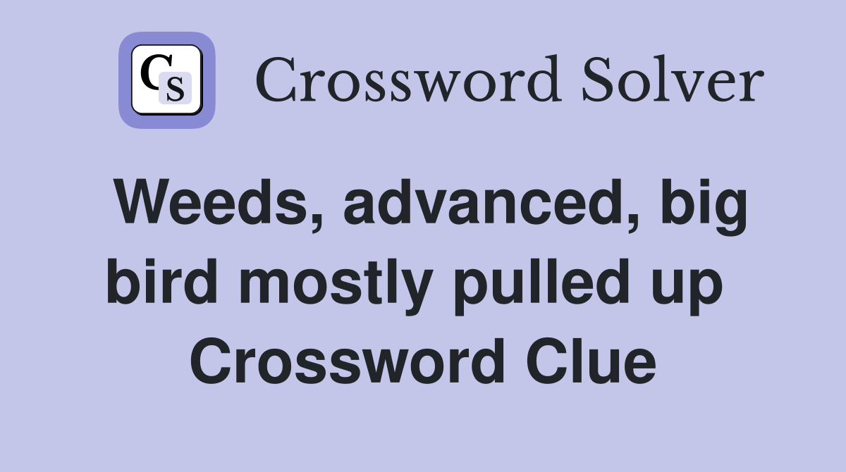 Weeds, advanced, big bird mostly pulled up  Crossword Clue