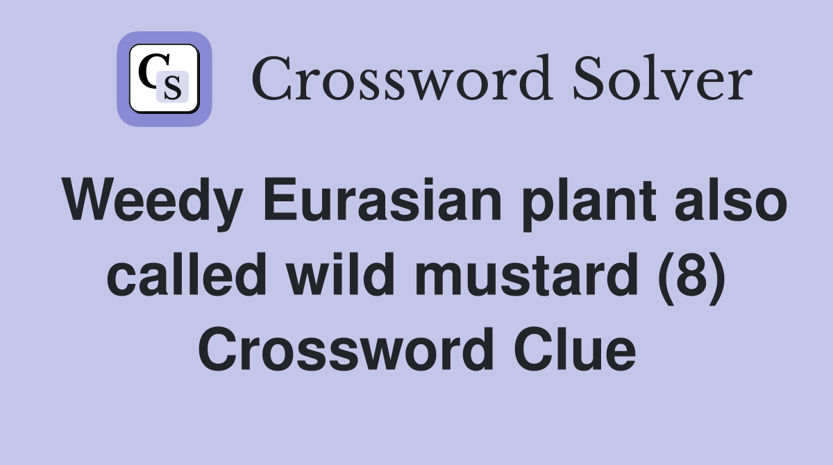 Weedy Eurasian plant also called wild mustard (8) Crossword Clue