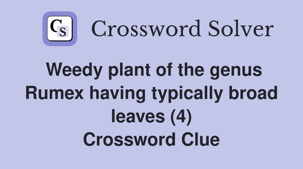Weedy plant of the genus Rumex having typically broad leaves (4) Crossword Clue