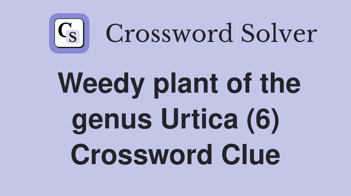 Weedy plant of the genus Urtica (6) Crossword Clue