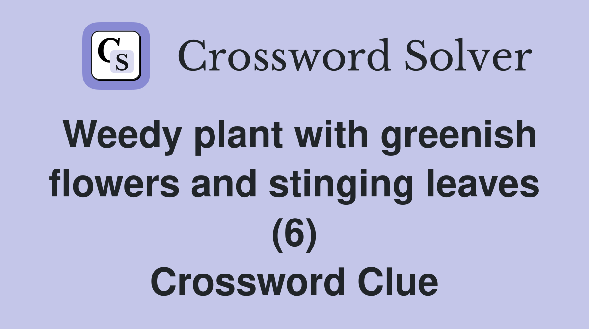 Weedy plant with greenish flowers and stinging leaves (6) Crossword Clue