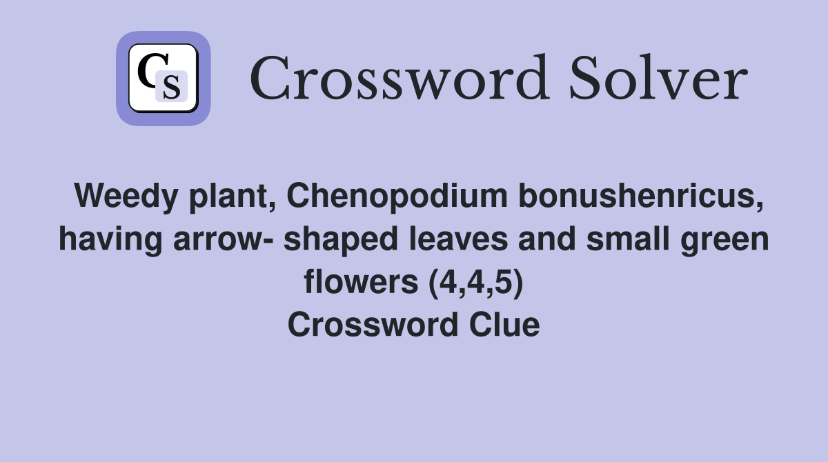 Weedy plant, Chenopodium bonushenricus, having arrow- shaped leaves and small green flowers (4,4,5) Crossword Clue