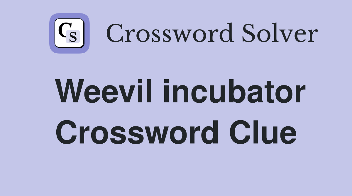 Weevil incubator Crossword Clue