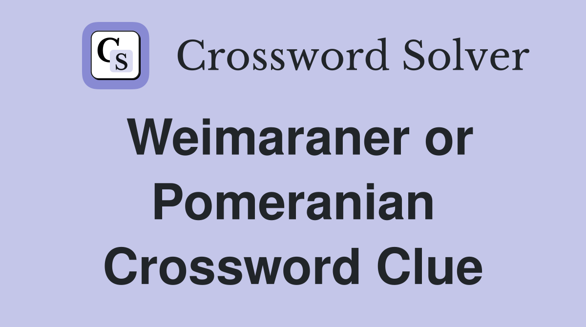 Weimaraner or Pomeranian Crossword Clue