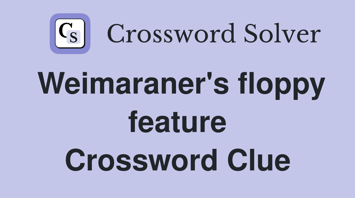 Weimaraner's floppy feature Crossword Clue