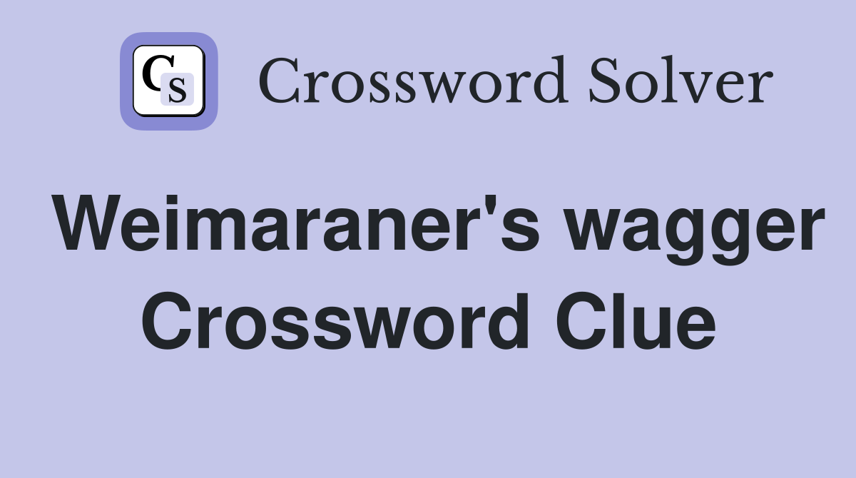 Weimaraner's wagger Crossword Clue
