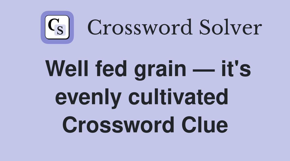 Well fed grain — it's evenly cultivated  Crossword Clue