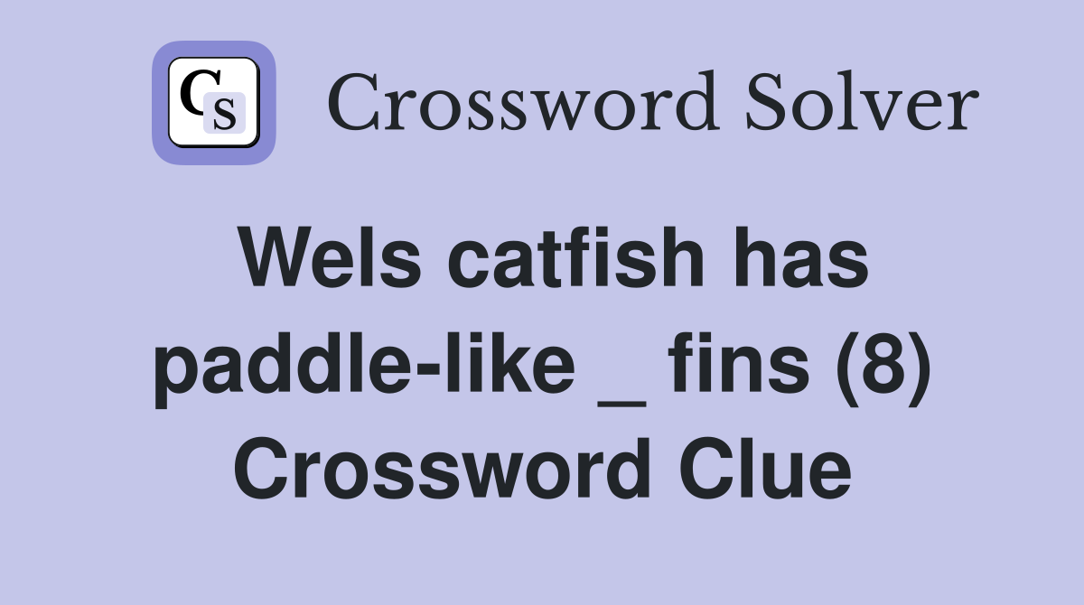 Wels catfish has paddle-like _ fins (8) Crossword Clue