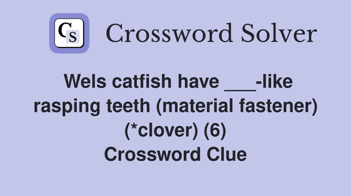 Wels catfish have ___-like rasping teeth (material fastener) (*clover) (6) Crossword Clue