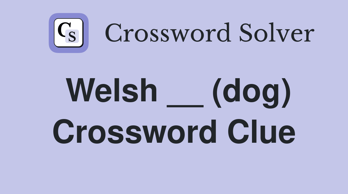 Welsh __ (dog) Crossword Clue