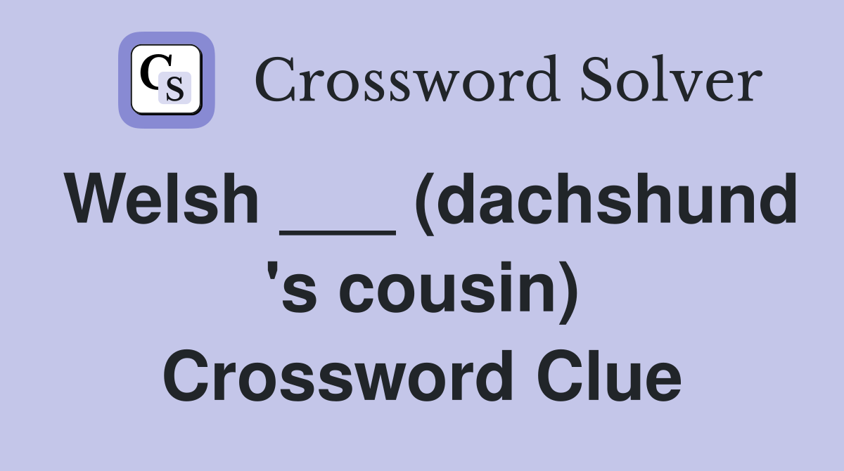 Welsh ___ (dachshund 's cousin) Crossword Clue