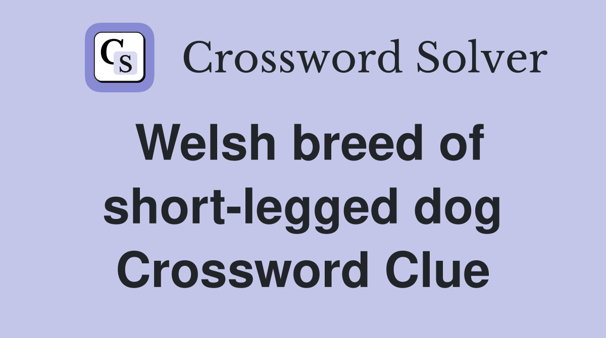 Welsh breed of short-legged dog Crossword Clue