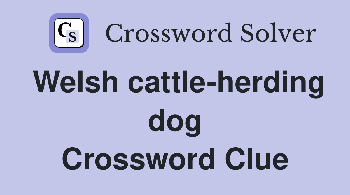 Welsh cattle-herding dog Crossword Clue