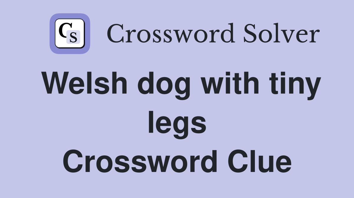Welsh dog with tiny legs Crossword Clue