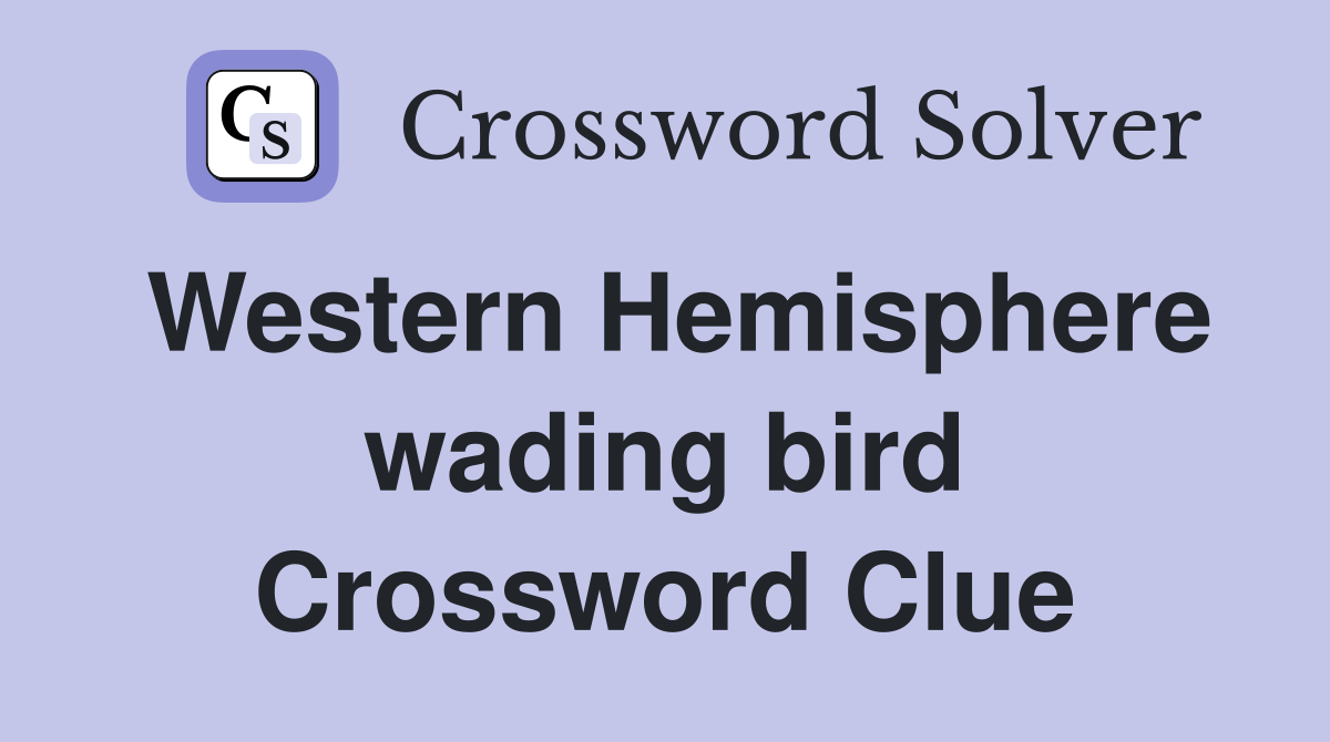 Western Hemisphere wading bird Crossword Clue