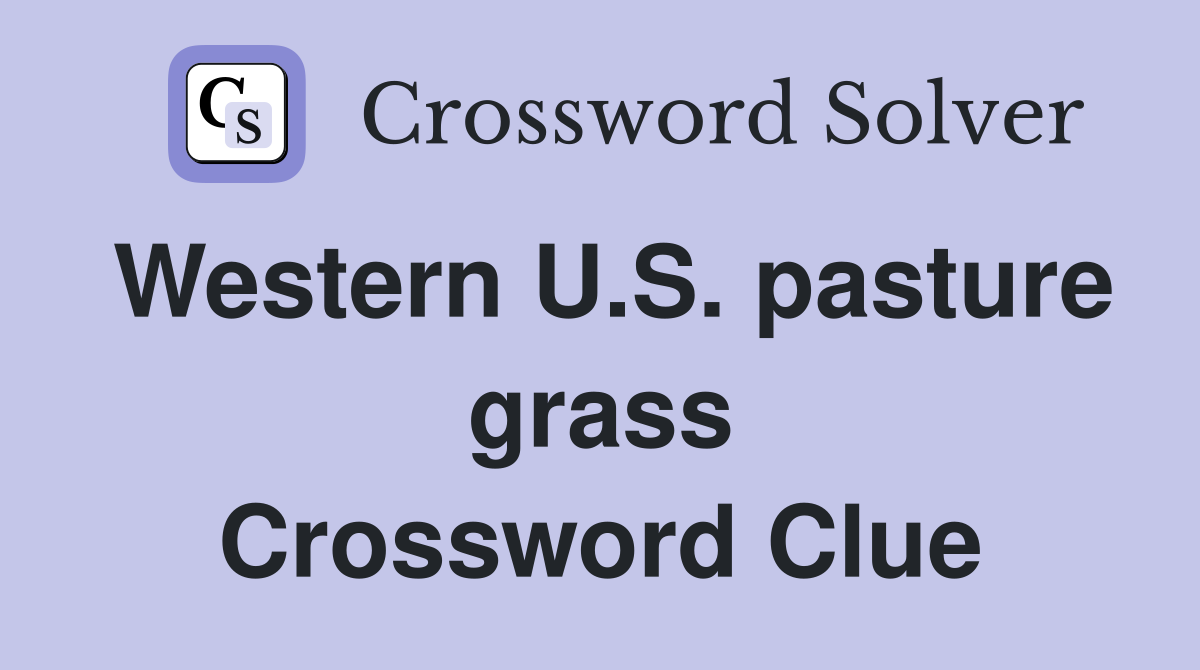 Western U.S. pasture grass Crossword Clue
