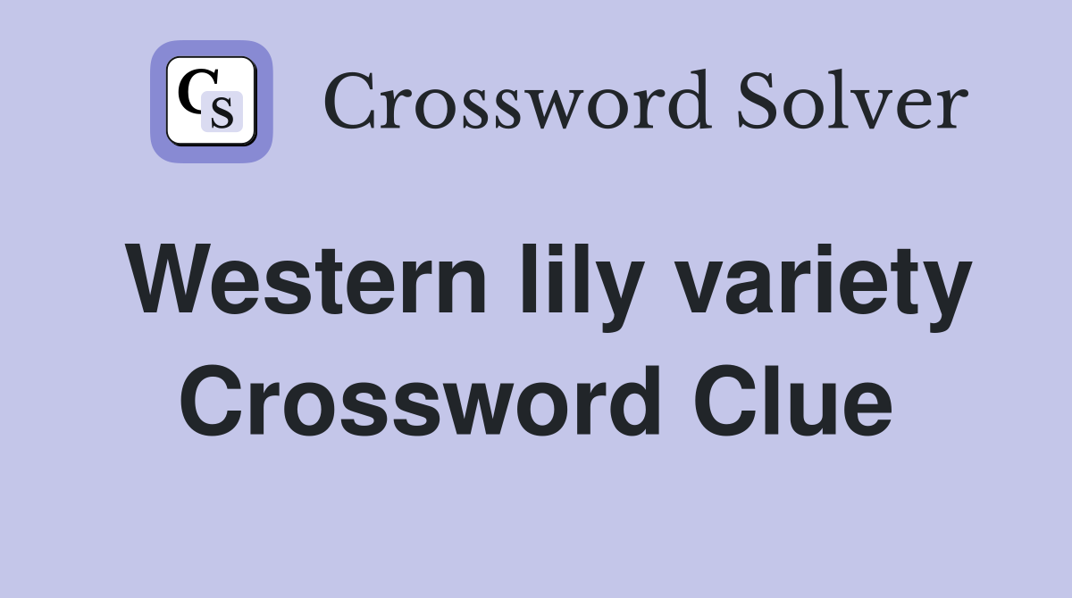 Western lily variety Crossword Clue