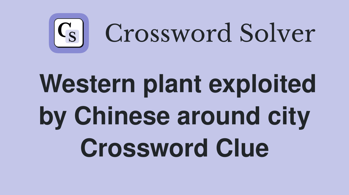 Western plant exploited by Chinese around city Crossword Clue