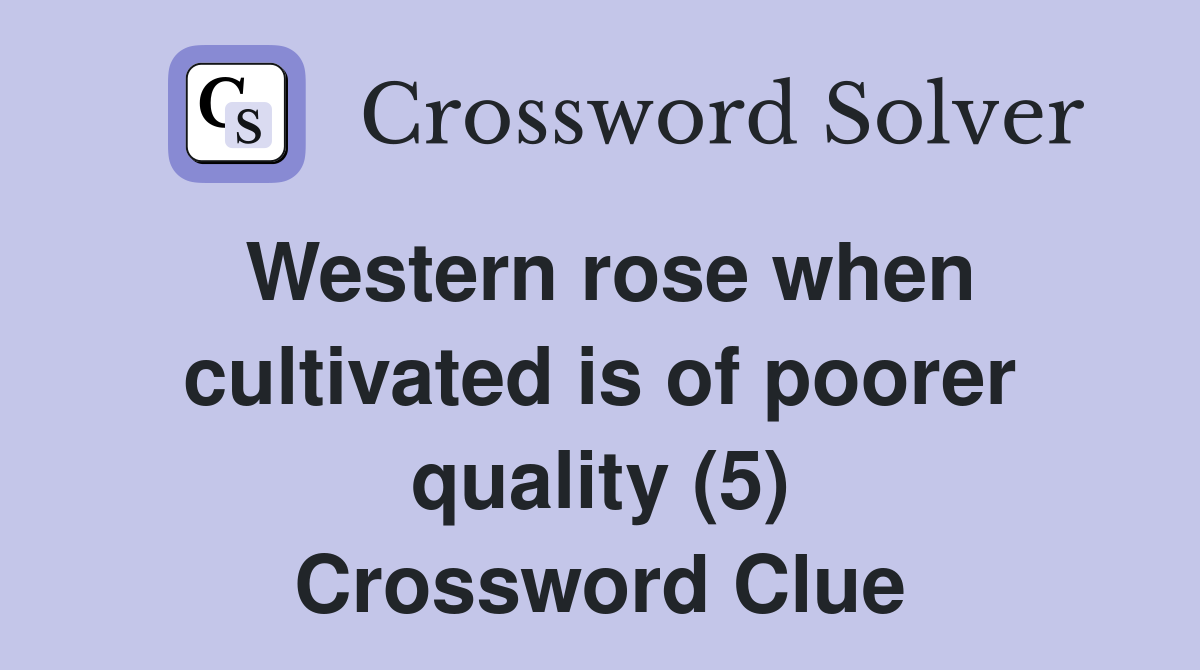 Western rose when cultivated is of poorer quality (5) Crossword Clue
