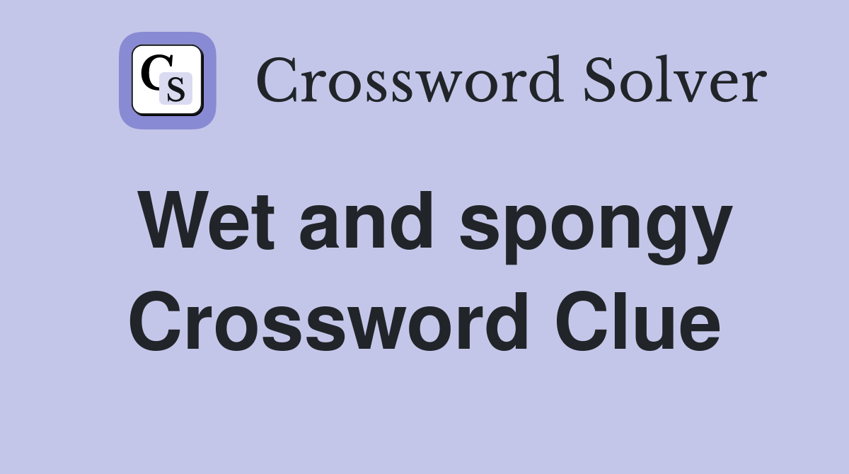Wet and spongy Crossword Clue
