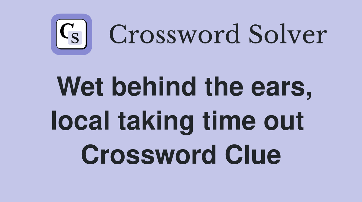 Wet behind the ears, local taking time out  Crossword Clue