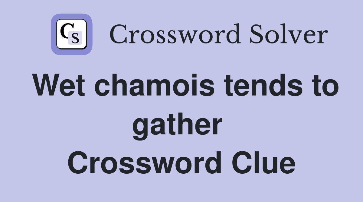 Wet chamois tends to gather  Crossword Clue