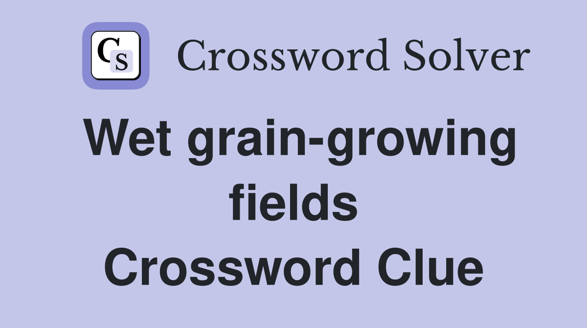 Wet grain-growing fields Crossword Clue