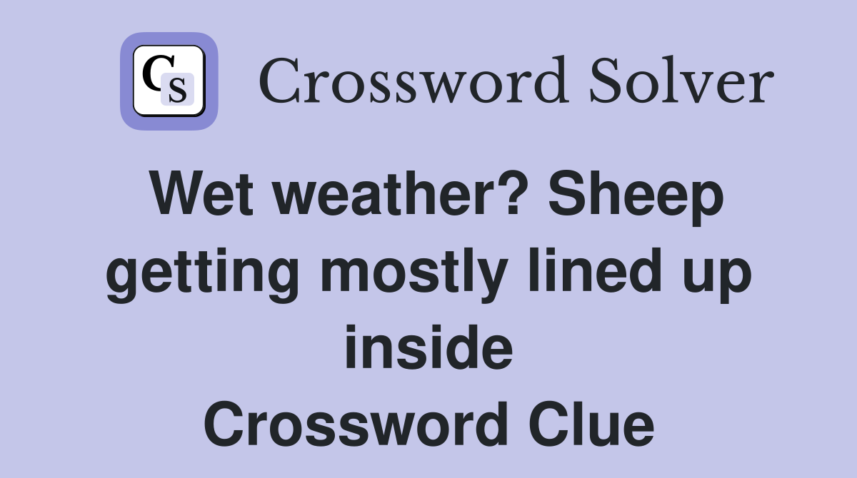 Wet weather? Sheep getting mostly lined up inside Crossword Clue
