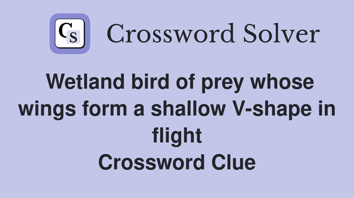 Wetland bird of prey whose wings form a shallow V-shape in flight Crossword Clue