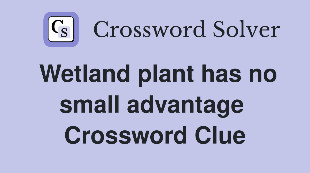 Wetland plant has no small advantage  Crossword Clue