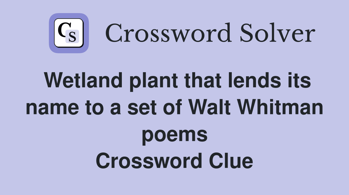 Wetland plant that lends its name to a set of Walt Whitman poems Crossword Clue